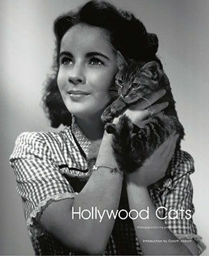 Forsíða bókarinnar Hollywood Cats